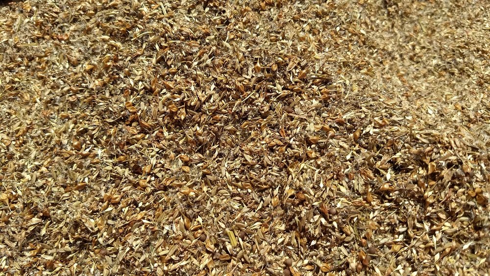 Wetland Seed Mix